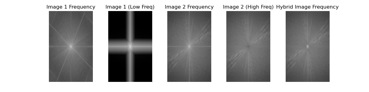 Hybrid Freq. Analysis